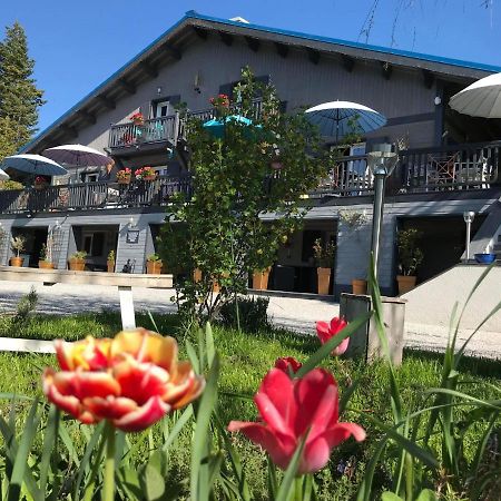 L'Alpen Roc Acomodação com café da manhã Caille Exterior foto